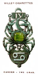 Cáncer, El Cangrejo, 1923