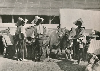 Escena de caravana con Shans en Bhamo, 1900