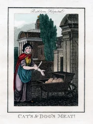 ¡Carne de gatos y perros!, Hospital de Bethlem, Londres, 1805