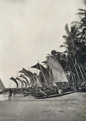 Barcos de pesca cingaleses con estabilizador, 1926