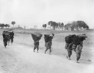 Portadores de carbón en el camino a Pekín, China