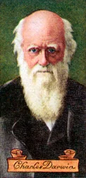 Charles Darwin, tomado de una serie de tarjetas de cigarrillos, 1935