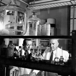 Charles Herbert Best, fisiólogo canadiense, 1960