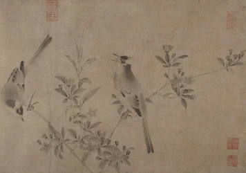 Bulbul chino en cerezo en flor