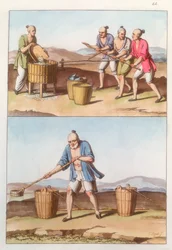 Agricultura china, 1825-1835