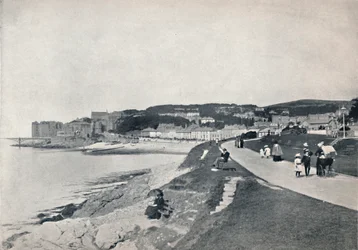 Clevedon - La Playa Verde, 1895