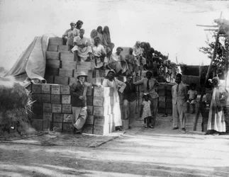 Producción de coco, India, siglo XX