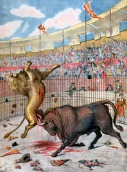 Combate entre un león y un toro, España, 1894