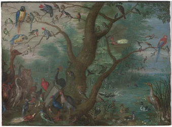 Concierto de pájaros, 1660-1670