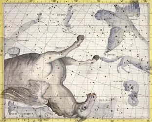 Constelación de Pegaso, 1729