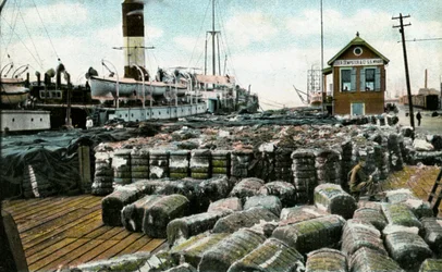 Muelles de algodón, Nueva Orleans, Luisiana, EE.UU., principios del siglo XX