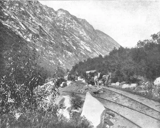 Cañón de Cottonwood, Utah, EE.UU., c1900