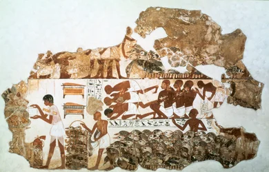Contando los gansos: fragmento de pintura mural de la tumba de Nebamun, Tebas, Egipto
