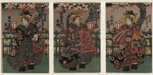 Cortesanas Shigeoka, Sugatano y Hanamurasaki. Tríptico. De la serie Las bellezas de Yoshiw