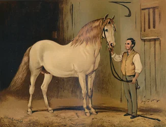 Caballo de carruaje Cream State. Del Stud de Su Majestad, c1879