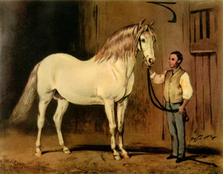 Caballo de Carruaje de Estado Crema del Establo de la Reina Victoria, c1875, 1944