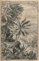 Crusoe descubre cabras en la isla, c1870