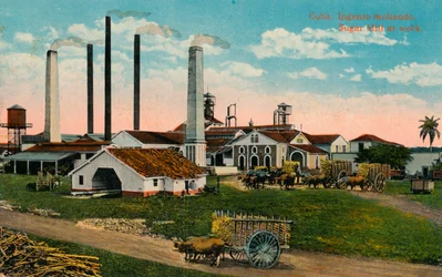 Cuba: Ingenio moliendo. Ingenio azucarero en funcionamiento, c1900