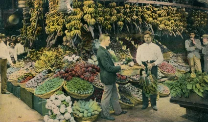 Tienda de frutas cubana, c1910