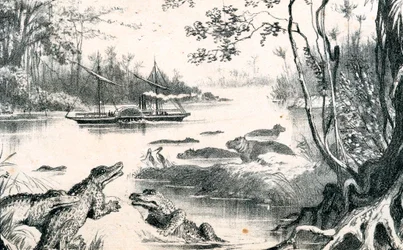 David Livingstone navegando el Zambezi, África, 1852-1864, c1878