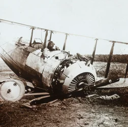 Piloto muerto en avión Salmson derribado, c1914-c1918