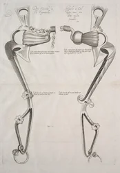 Diagrama para el Bocado del Caballo, 1700s
