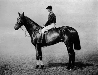 Jubileo de Diamante, 1911
