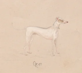 Perro, 1800s