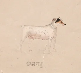 Perro, 1800s