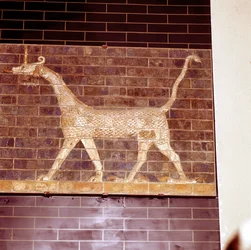 Dragón sagrado al dios Marduk, detalle de la Puerta de Ishtar, c. 604-562 a.C.