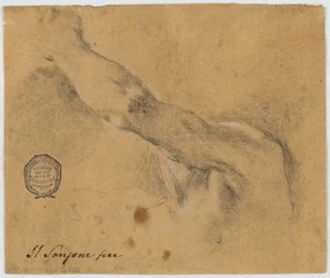 Dibujo, Estudio - El brazo izquierdo y las partes vecinas del cuerpo de un hombre anciano