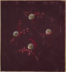 Dibujo, de Saint Germain - Volúmenes 1 y 2, ca. 1896