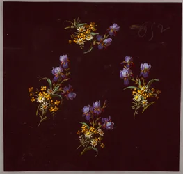 Dibujo, de Saint Germain - Volúmenes 1 y 2