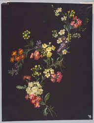 Dibujo, de Saint Germain - Volúmenes 1 y 2