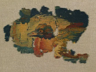 Cabeza de pato de una gran cortina, 200s