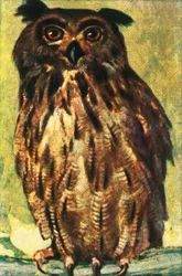 Búho real, c. 1928
