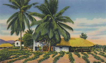 Cabañas indias orientales, Trinidad, B.W.I., c. 1940s