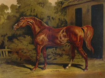 Eclipse, c. 1879