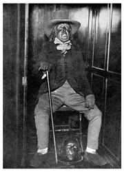Efigie de Jeremy Bentham con su cabeza embalsamada, University College, Londres, 1956