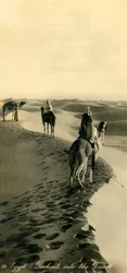 Egipto - Mirador hacia el desierto