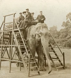 Paseo en elefante