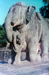 Escultura de Elefante, Khajuraho, India. c950-1050. siglo XX