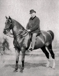 Emile de Girardin, periodista, publicista y político francés, 1866