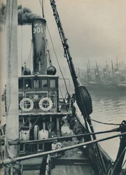 Entrando en los muelles de Grimsby al final de un viaje por el Mar del Norte está el barco pesquero Saurian, 1937