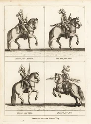 Ejercicio del caballo