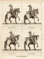 Ejercicio del caballo