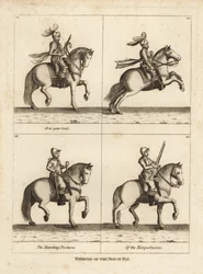 Ejercicio del caballo