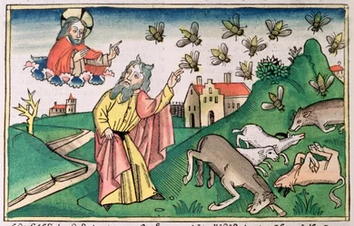 Éxodo 8:20-32: Moisés y la plaga de moscas, una de las Siete Plagas de Egipto