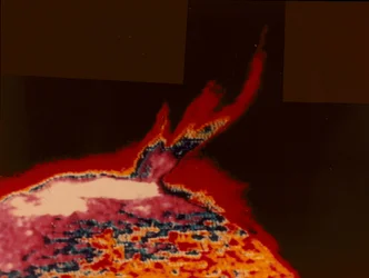 Imagen en falso color de una llamarada solar desde Skylab, 1973