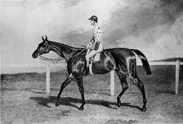 Fandango, siglo XIX, 1911